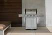 BBQ Master L Plus - Edelstahl Gasgrill